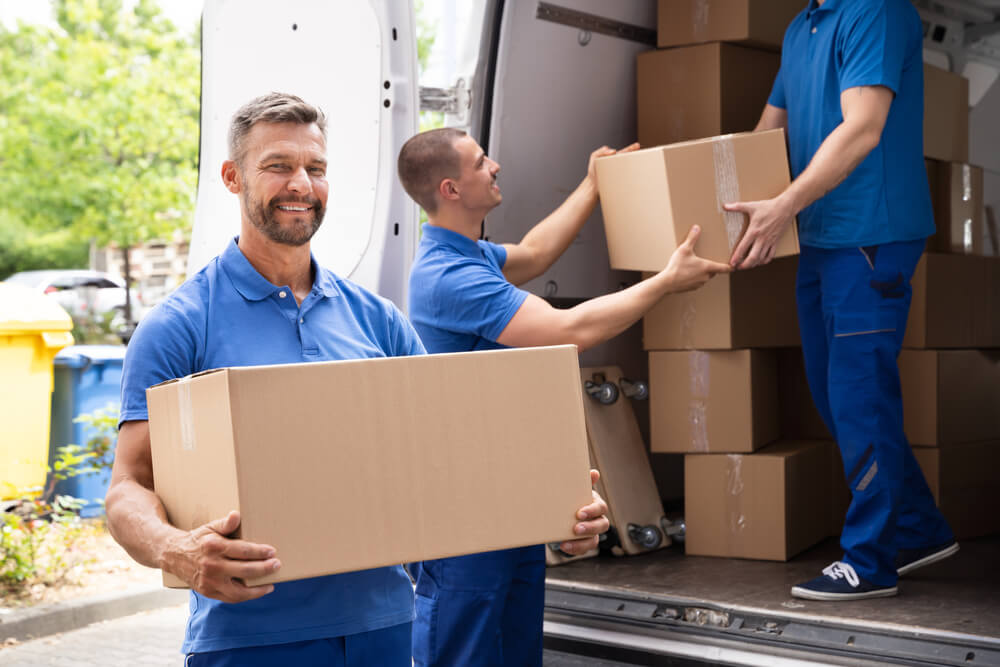 Wellington Difference Types Of Movers