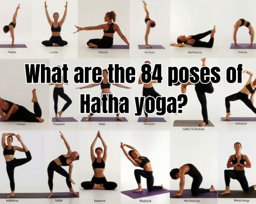 yoga poses